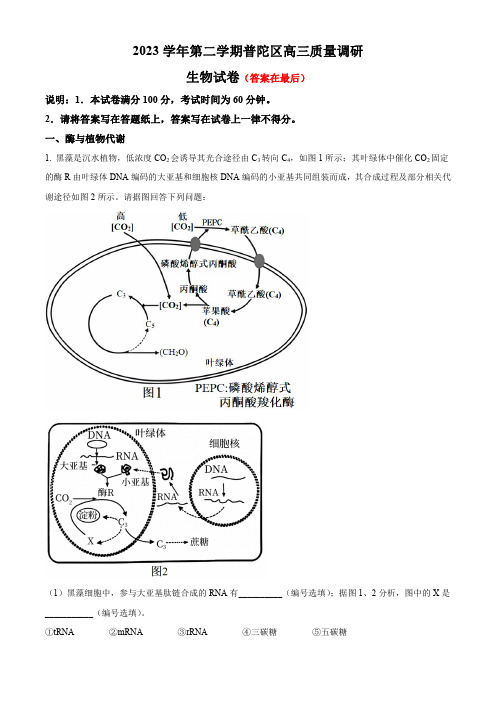 上海市普陀区2023届高三下学期二模试题 生物含答案