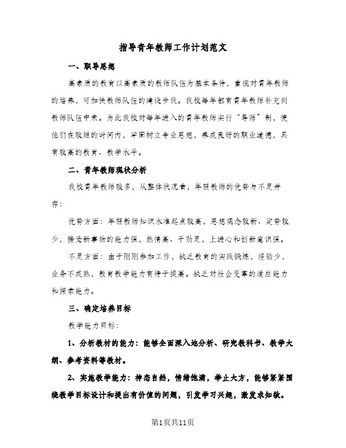 2024年指导青年教师工作计划范文(4篇)