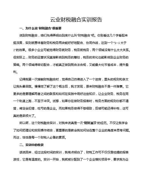 云业财税融合实训报告