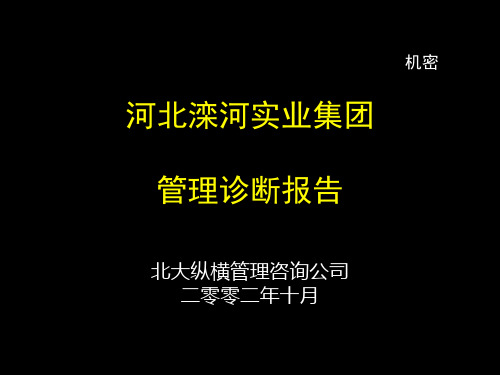 某实业集团管理诊断报告(共115张PPT)