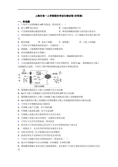 上海市高一上学期期末考试生物试卷(含答案)