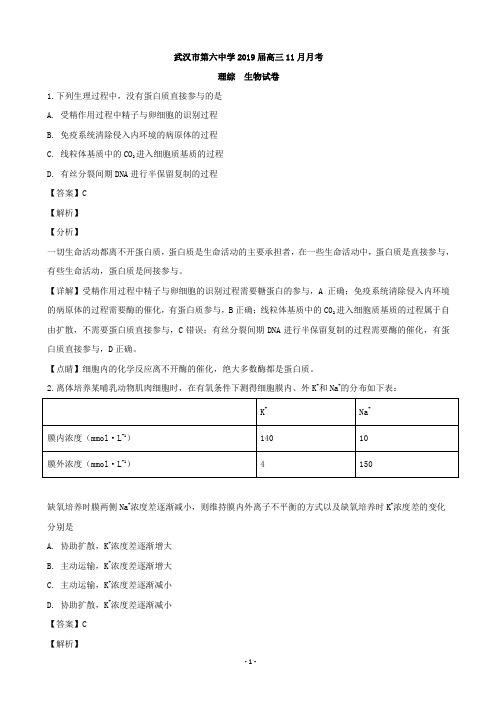 2019届湖北省武汉市第六中学高三上学期11月月考理科综合生物试题(解析版)