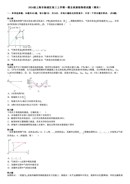 2024届上海市杨浦区高三上学期一模全真演练物理试题(期末)