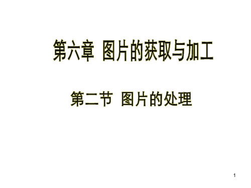 人教版信息技术七年级上图片的处理课件