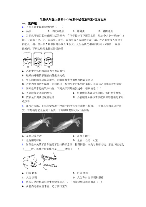 生物八年级上册期中生物期中试卷及答案-百度文库