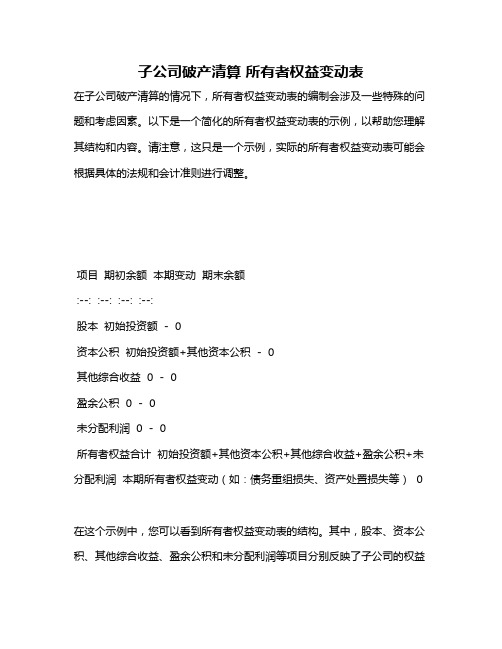 子公司破产清算 所有者权益变动表