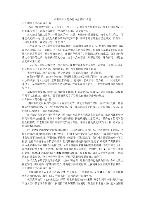 小升初家长的心得体会最新10篇