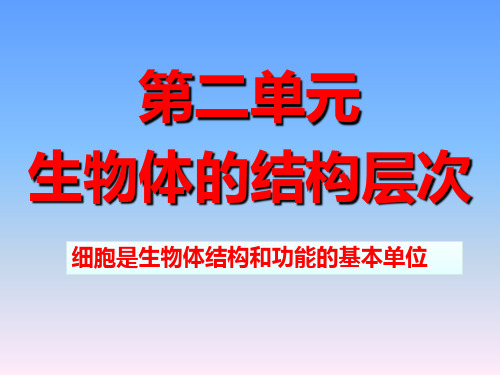 人教版七年级上册生物2.1.1 练习使用显微镜 课件 (共25张PPT)