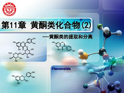 黄酮类化合物的提取和分离