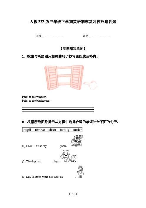 人教PEP版三年级下学期英语期末复习校外培训题