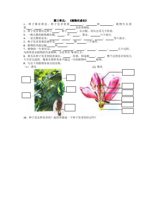 大象版小学四年级科学下册第三单元测试题