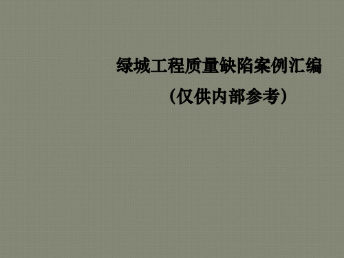 绿城集团工程质量缺陷案例、照片汇编(精细化管理)最全最经典