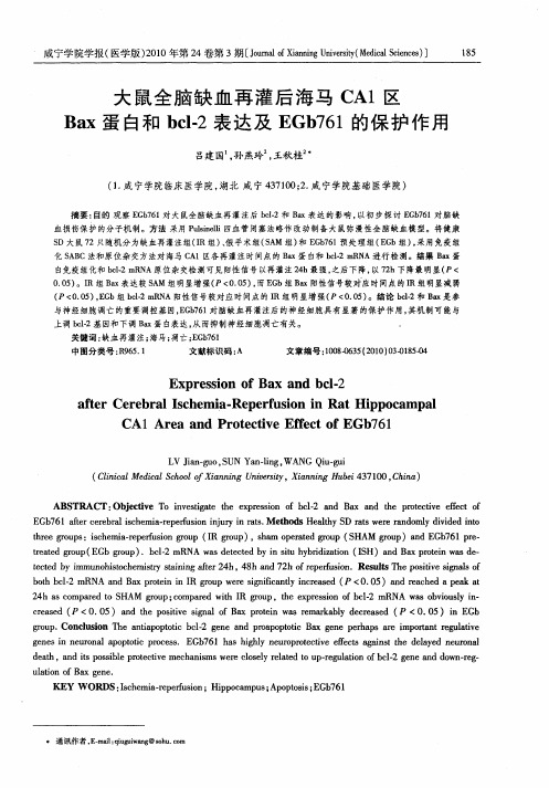 大鼠全脑缺血再灌后海马CA1区Bax蛋白和bcl-2表达及EGb761的保护作用