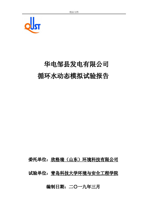 华电邹县发电厂循环水系统动态模拟试验报告(城市中水).doc