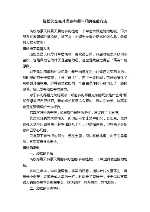 塔松怎么养才漂亮有哪些好的养殖方法