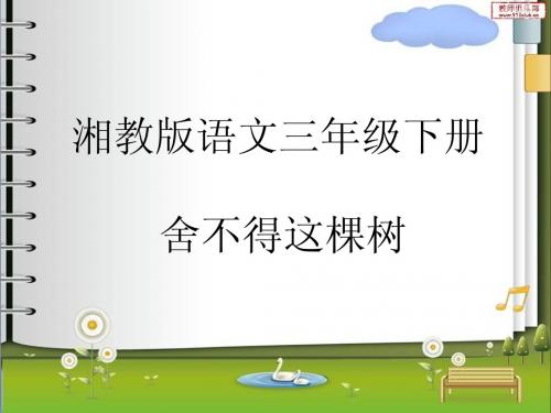 舍不得这棵树