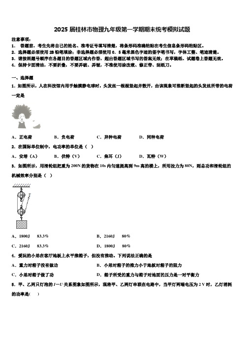 2025届桂林市物理九年级第一学期期末统考模拟试题含解析