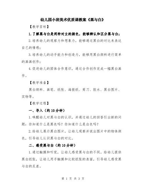 幼儿园小班美术优质课教案《黑与白》