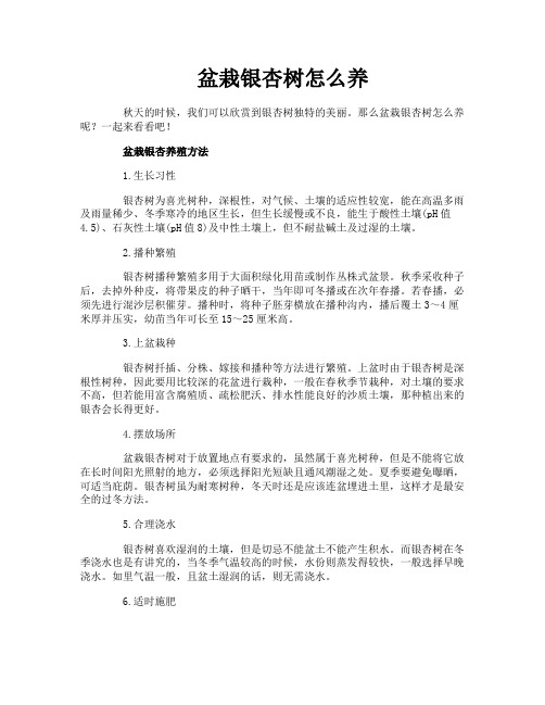 盆栽银杏树怎么养