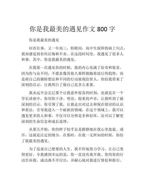 你是我最美的遇见作文800字