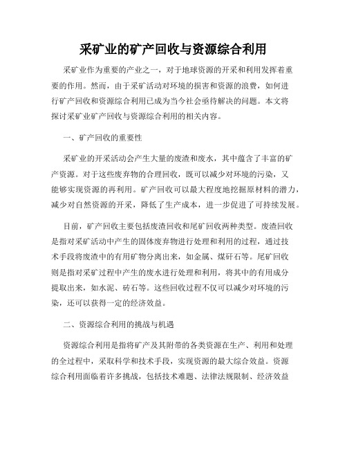 采矿业的矿产回收与资源综合利用