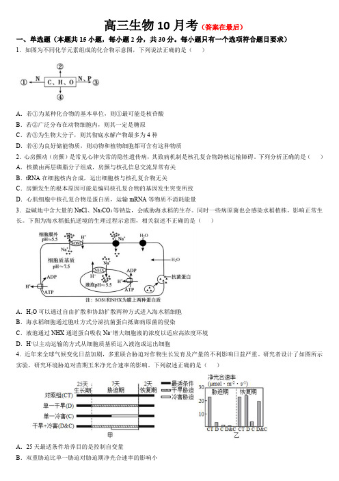 吉林省通化市梅河口市2024-2025学年高三上学期10月月考试题 生物含答案