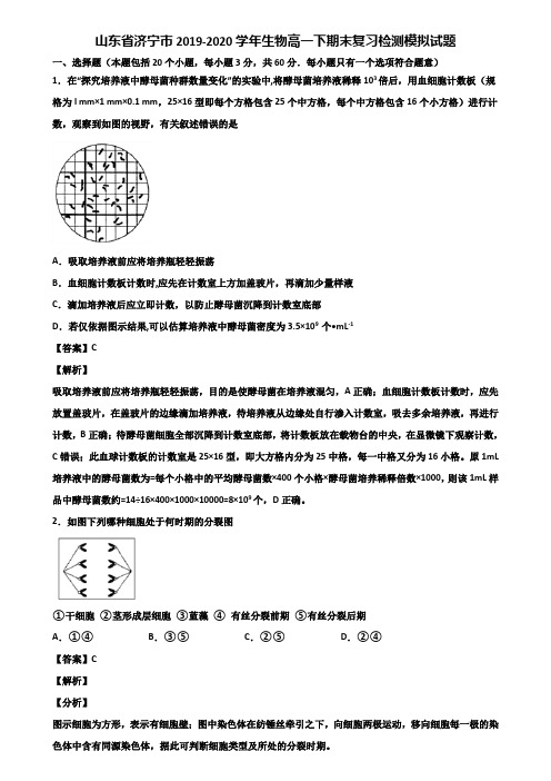 山东省济宁市2019-2020学年生物高一下期末复习检测模拟试题含解析