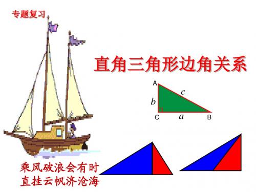 直角三角形的边角关系(复习)