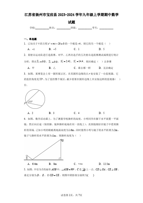 江苏省扬州市宝应县2023-2024学年九年级上学期期中数学试题