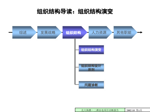 组织诊断报告(PPT48页).pptx