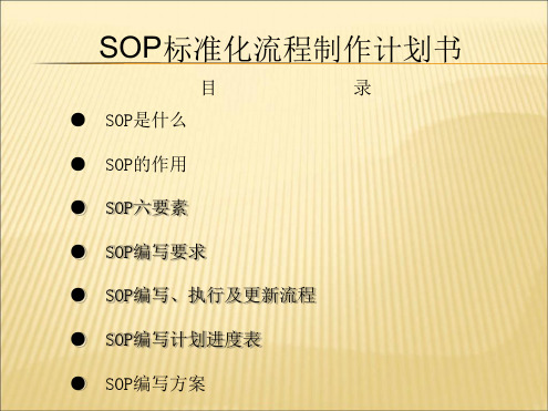 SOP标准化流程制作计划书 非常专业全面