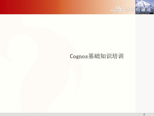 Cognos入门到精通基础知识