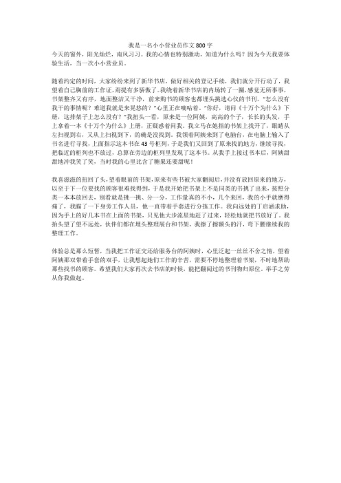 我是一名小小营业员作文800字(高分作文)