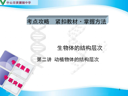 广东省人教版中考复习――第二单元 生物体的结构层次  第二讲 动植物体的结构层次PPT课件