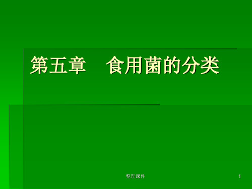 食用菌的分类ppt课件