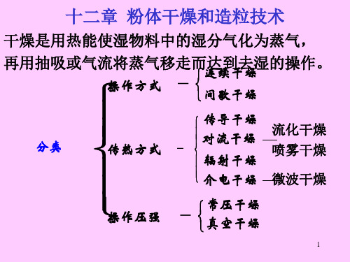 (精选)粉体干燥和造粒技术