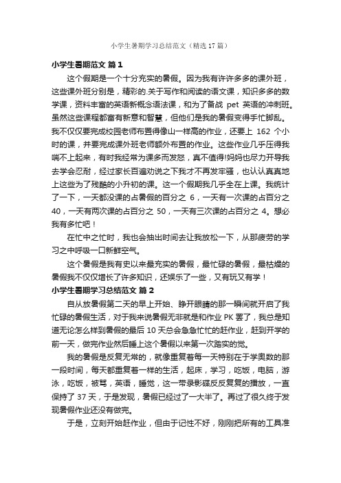 小学生暑期学习总结范文（精选17篇）