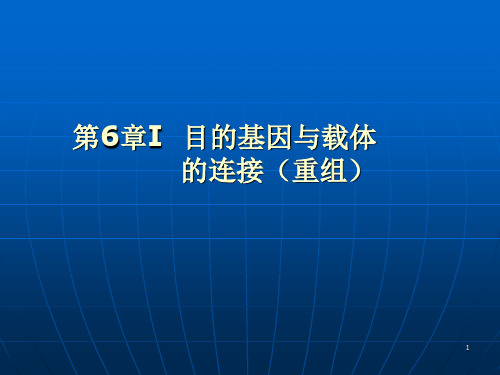 第六章I 目的基因与载体的连接解读