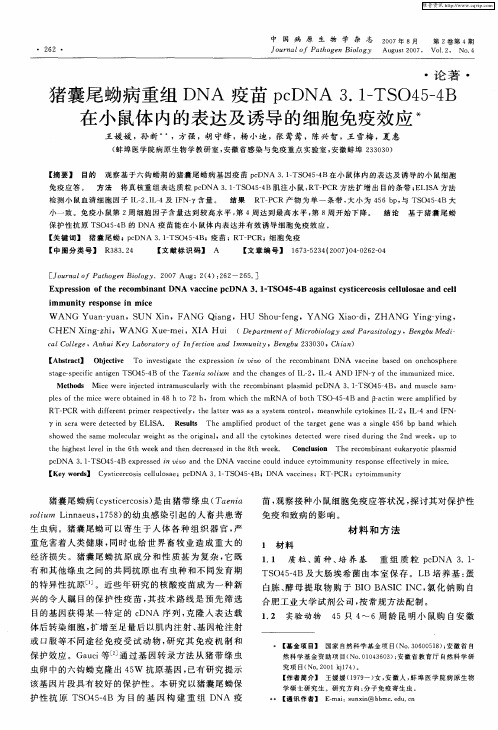 猪囊尾蚴病重组DNA疫苗pcDNA3.1-TSO45—4B在小鼠体内的表达及诱导的细胞免疫效应