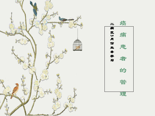 癌痛患者的管理