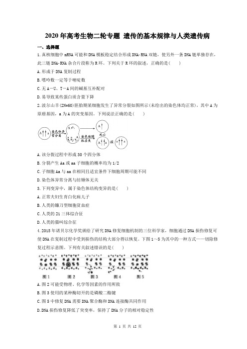 【高考二轮】2020年高考生物二轮专题 遗传的基本规律与人类遗传病 25题(含答案解析)