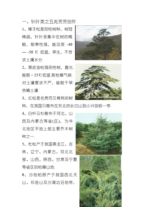 北方常见耐寒植物