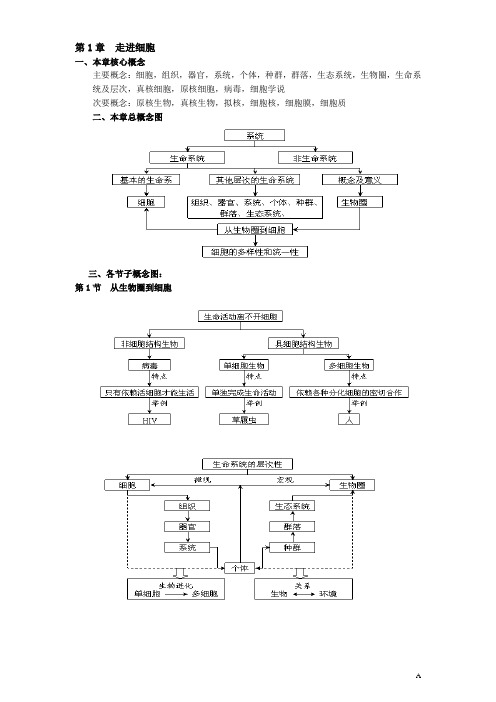 高中生物必修1思维导图及 部分彩图