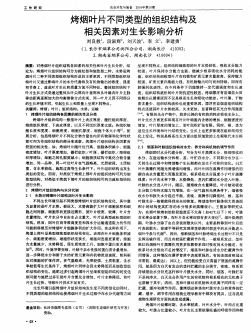 烤烟叶片不同类型的组织结构及相关因素对生长影响分析