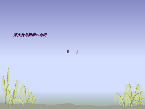 束支阻滞ppt课件