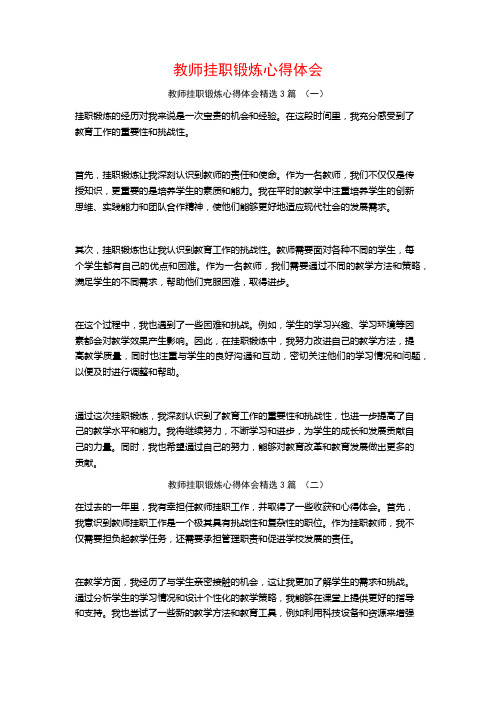 教师挂职锻炼心得体会3篇