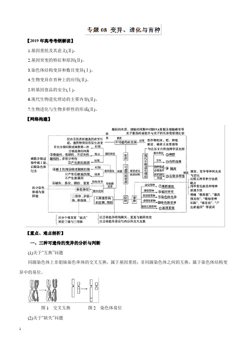 2019年高考生物提分秘籍：专题08-变异、进化与育种(教学案,含答案)