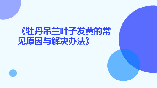 牡丹吊兰叶子发黄的常见原因与解决办法