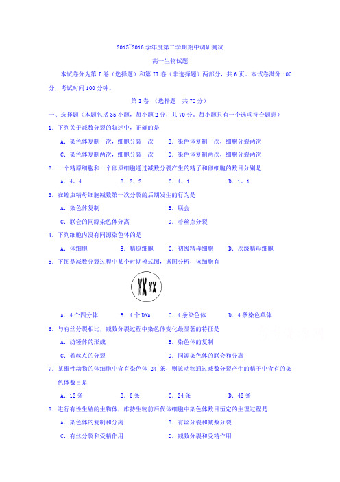 江苏省宿迁市沭阳县2015-2016学年高一下学期期中考试生物试题Word版含答案