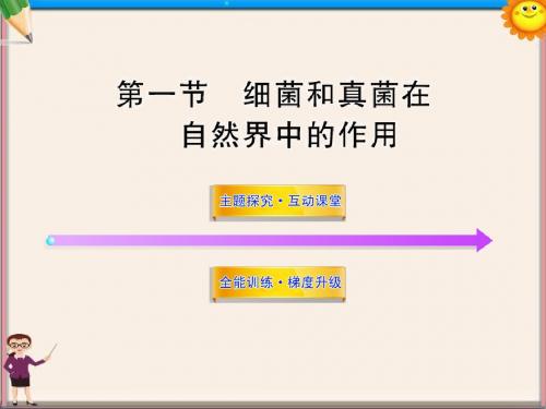 八年级生物上册 第五单元 第五章 第一节 细菌和真菌在自然界中的作用课件 新人教版